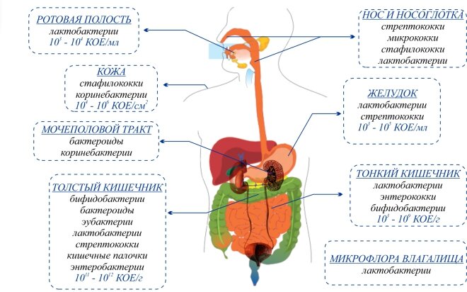 Лабораторная диагностика