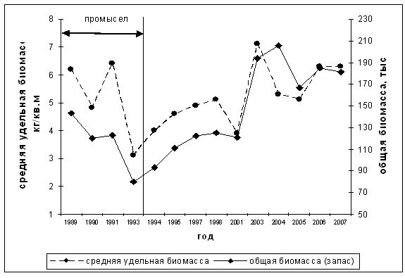 Евсеева Наталья Викторовна. Динамика средней удельной и общей биомассы анфельции в заливе Измены в 1989–2007 гг.