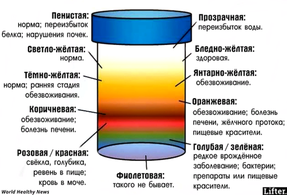 Какого цвета моча у здорового человека. Тёмно жёлтая моча у мужчин причины. Цвет мочи норма. Какого цвета должна быть моча у здорового человека мужчины.