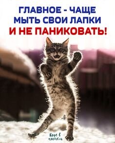 Поделитесь статьей в соцсетях или с друзьями! Не допустим жестокости и бессмысленного лишения крова наших питомцев! 