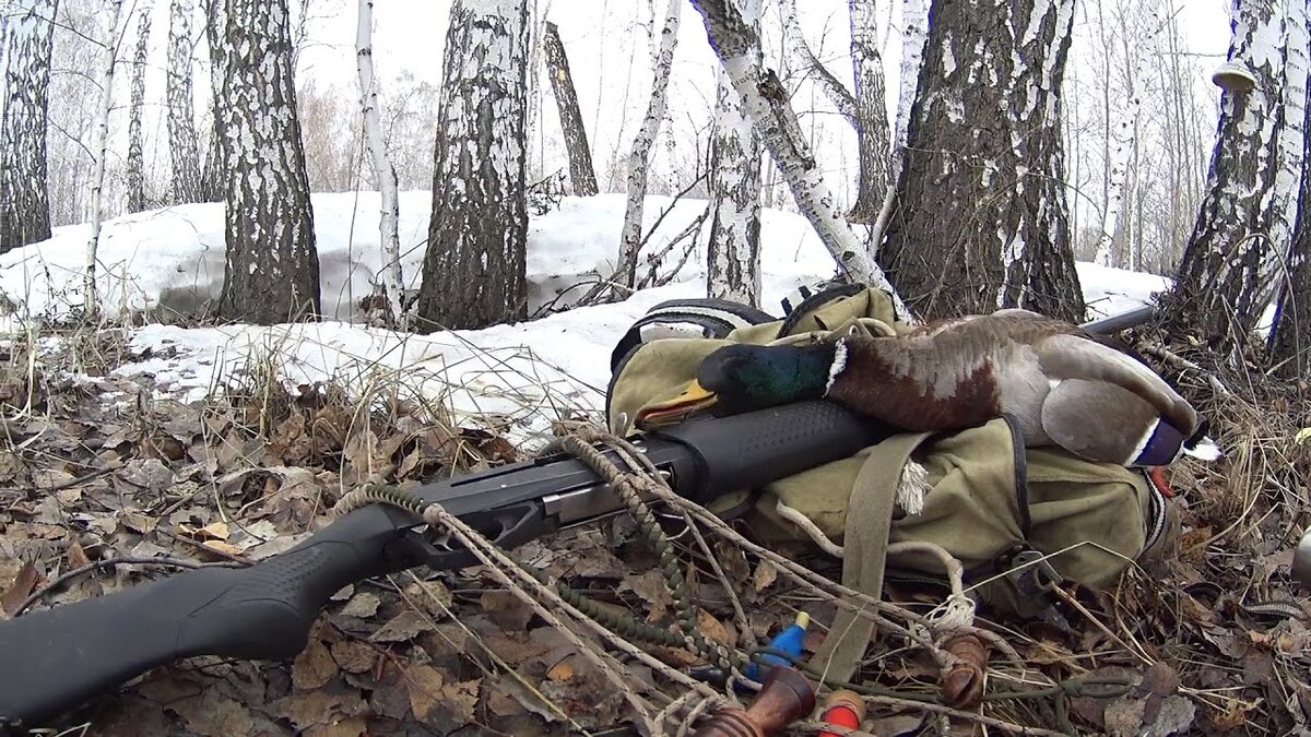 Фото из общедоступных источников в интернете 