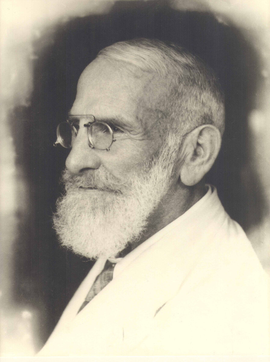 Максимилиан Оскар Биршер-Беннер (1867-1939)