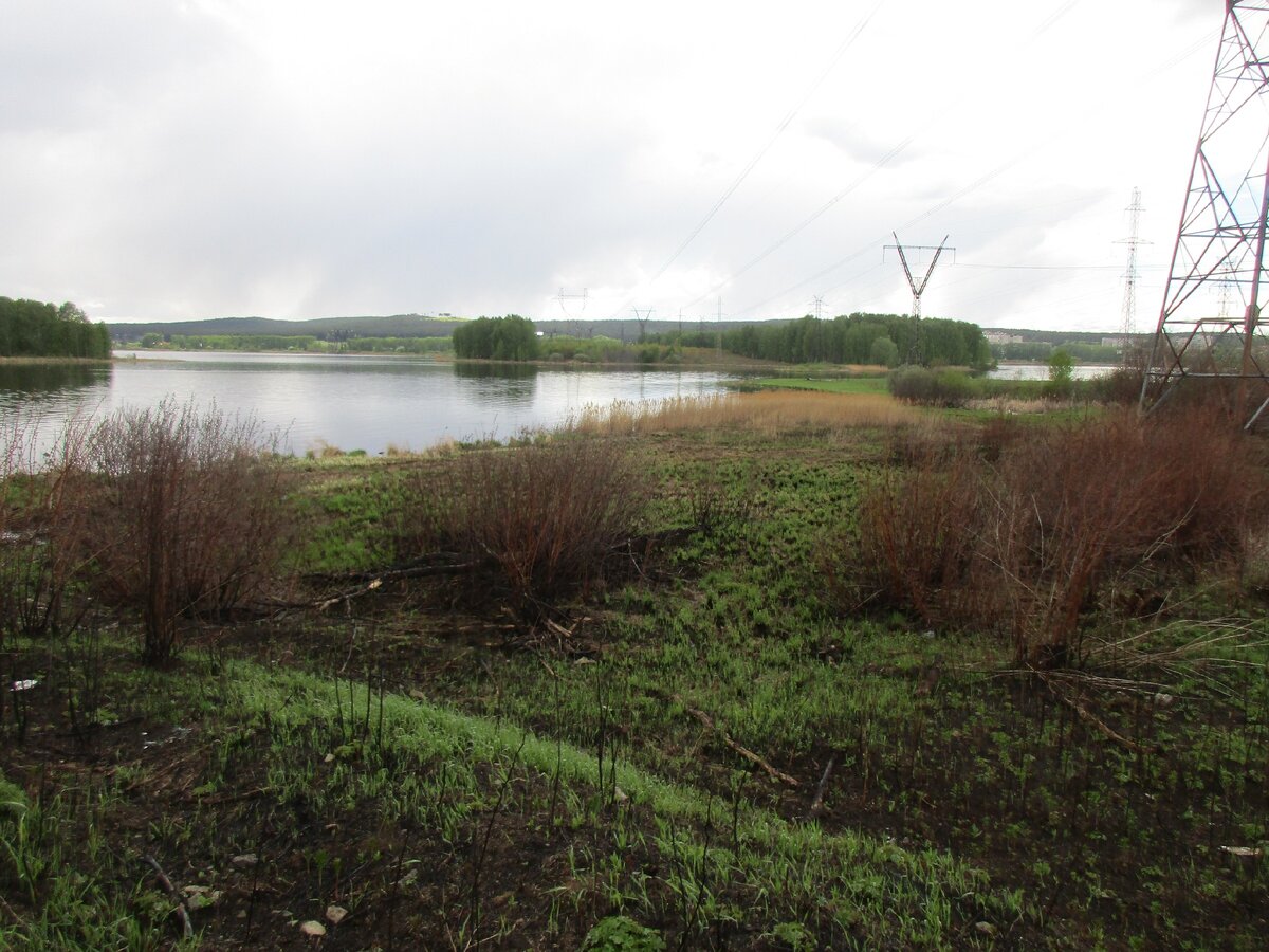 Заболоченный берег и острова