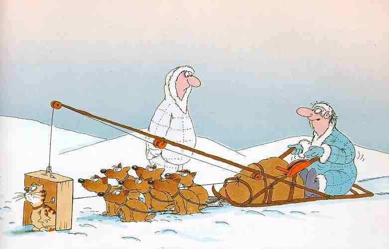 изображение получено на портале Яндекс - картинки