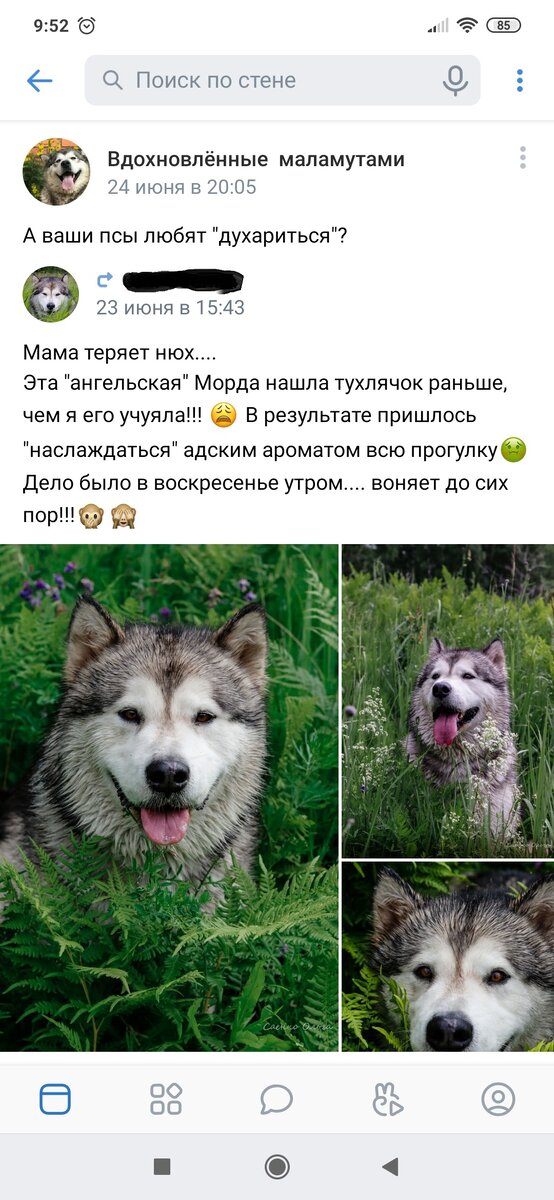 скрин из паблика ВК https://vk.com/malvdohnovenie 