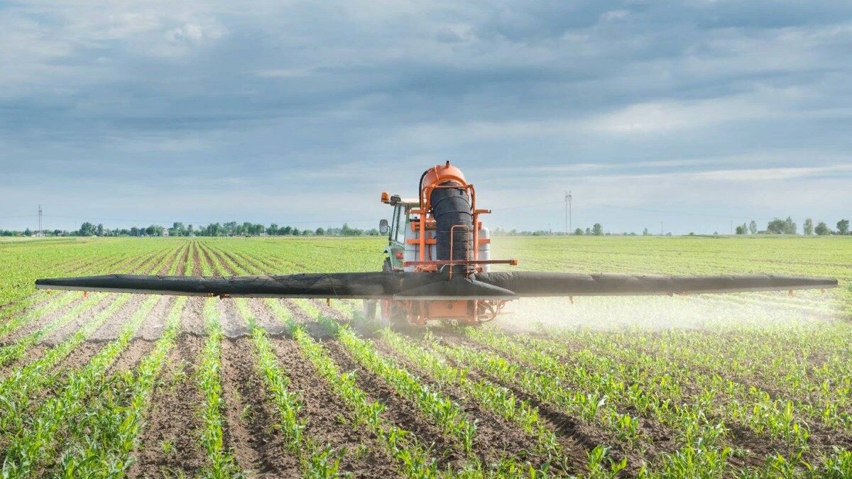 Фото:pbs.twimg.com