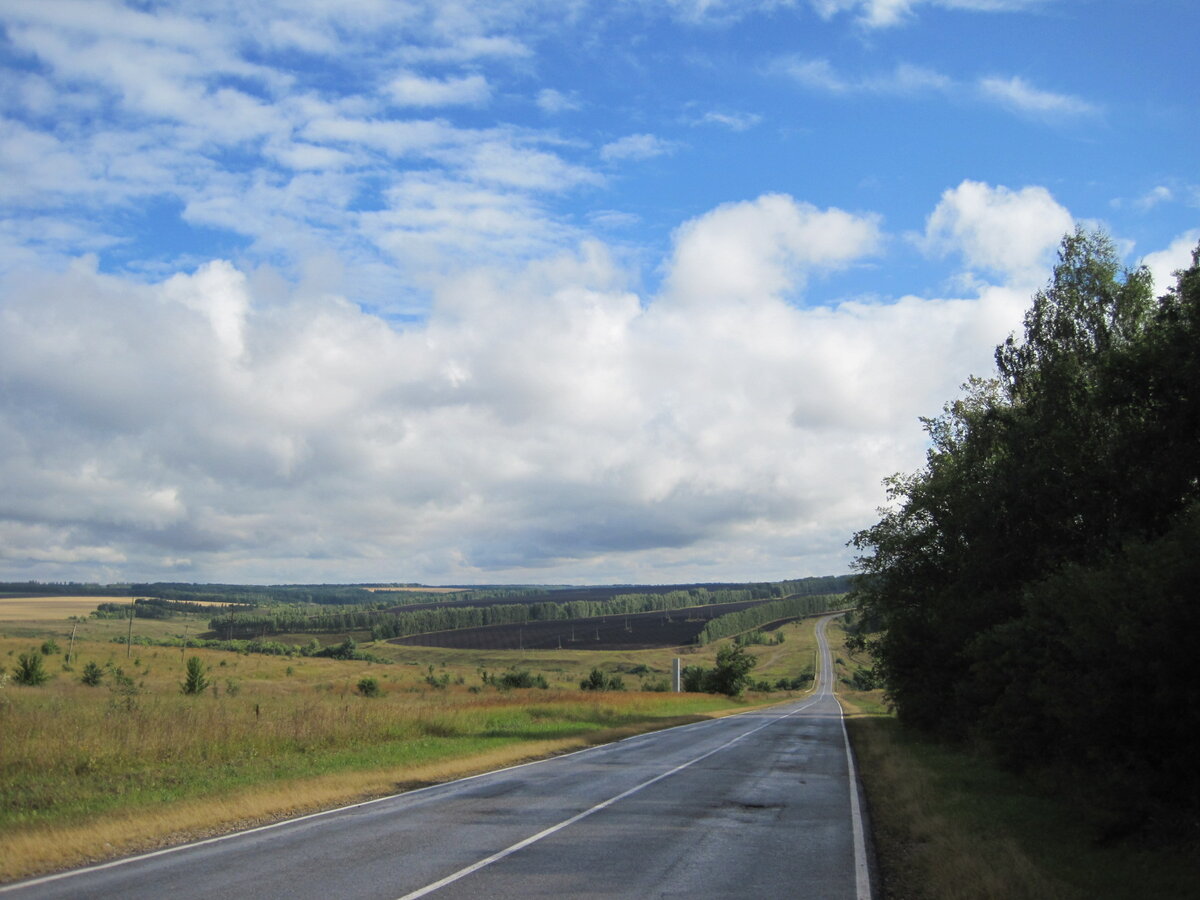 Дорога. Фото автора