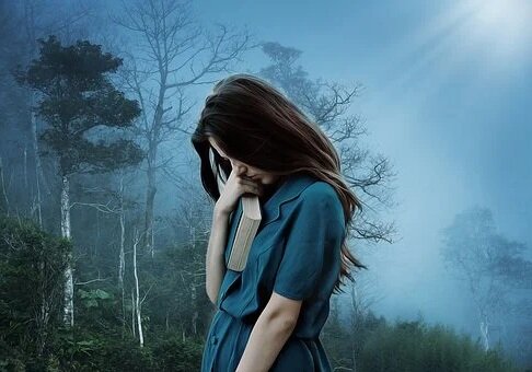 Источник фото: pixabay