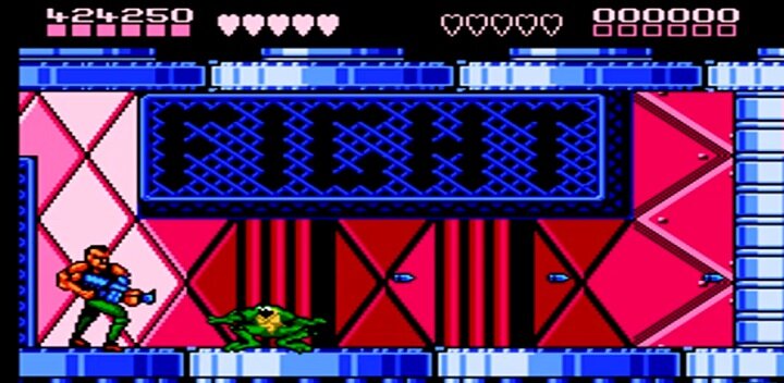 Battletoads & Double Dragon - ROPER