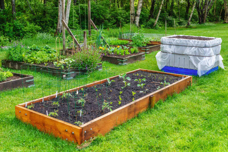 10 способов применения хозяйственного мыла в саду и огороде | Полезно (zapchastiuazkrimea.ru)