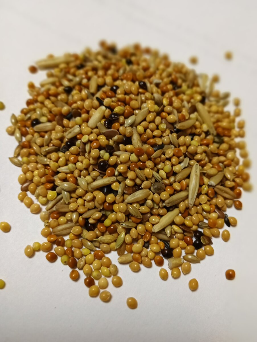 Содержимое упаковки