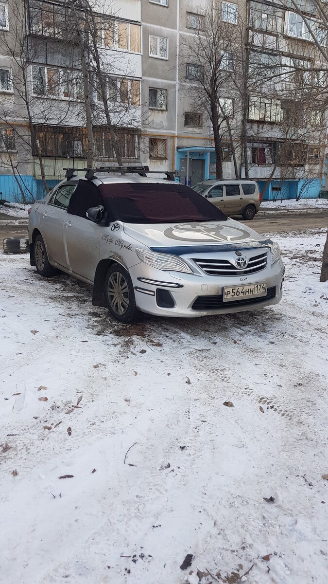 Фото: Александр Котов