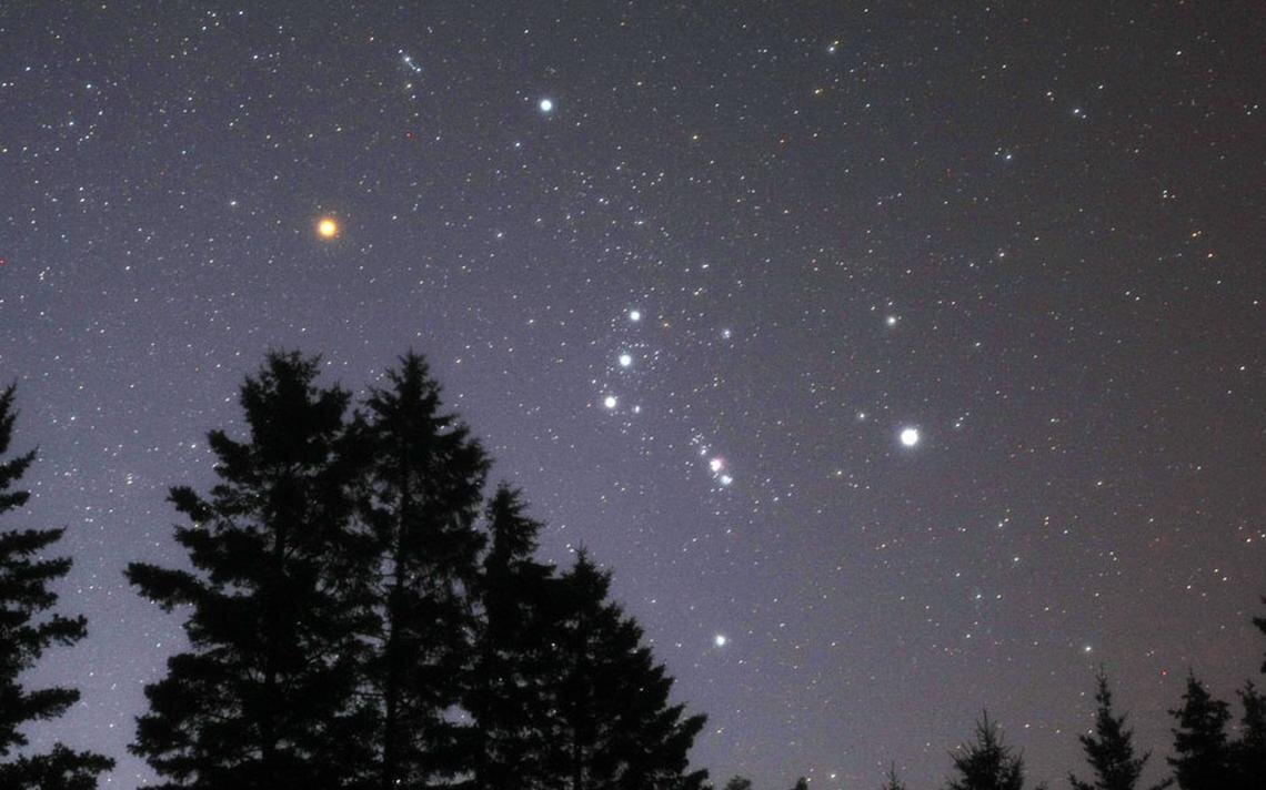 Орион на вечернем небе (фото - Боб Кинг)