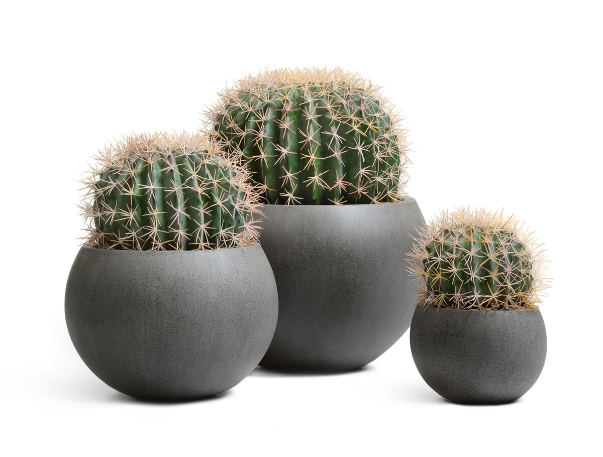 Маленькие искусственные кактусы Баррель Treez Collection в кашпо Treez Effectory серии Beton.