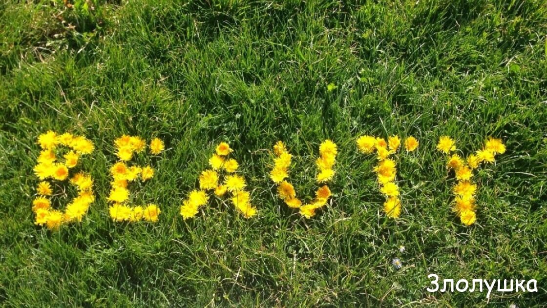Примерно так всё выглядело до...