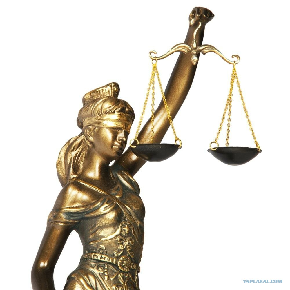 Фотография взята из открытых источников сети Интернет