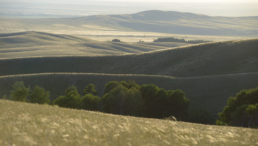 Широкие просторы Оренбургского заповедника