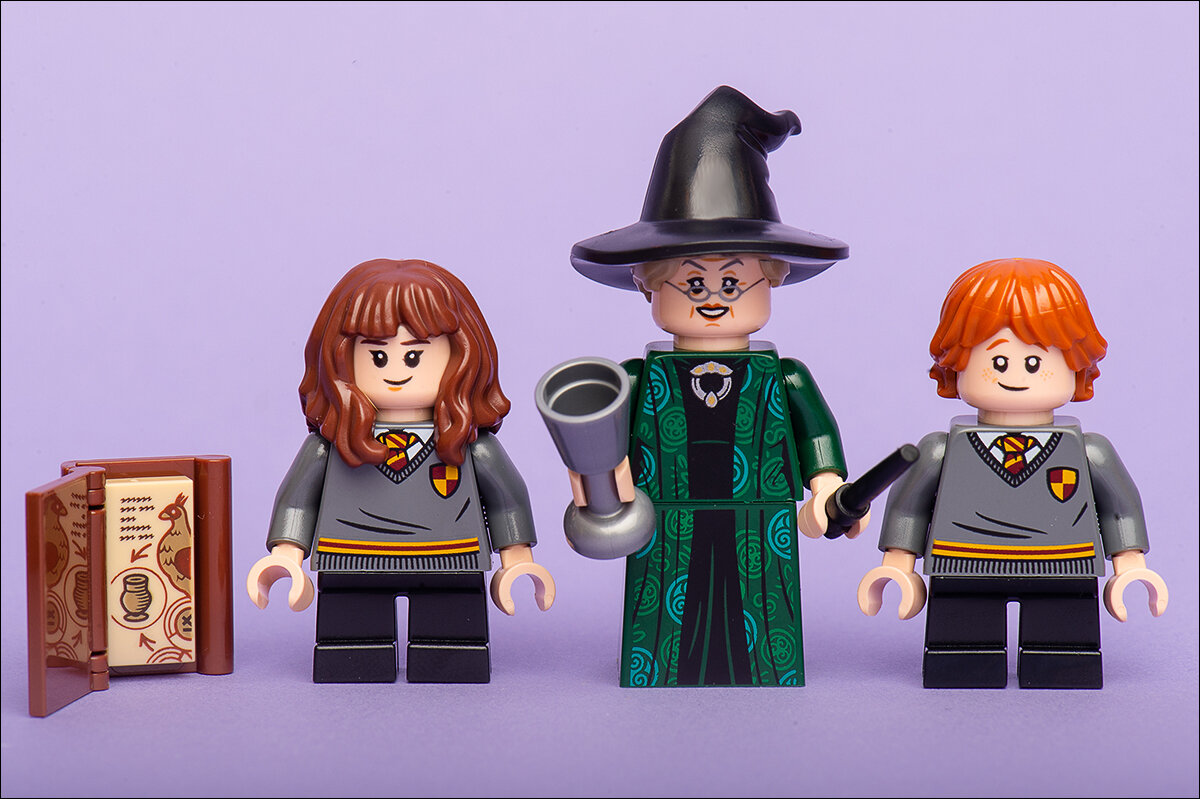 Трансфигурация 2021. Минерва Макгонагалл лего. LEGO Harry Potter урок трансфигурации. Лего Гарри Поттер Гермиона Грейнджер и Рон Уизли. Лего минифигурки Минерва.