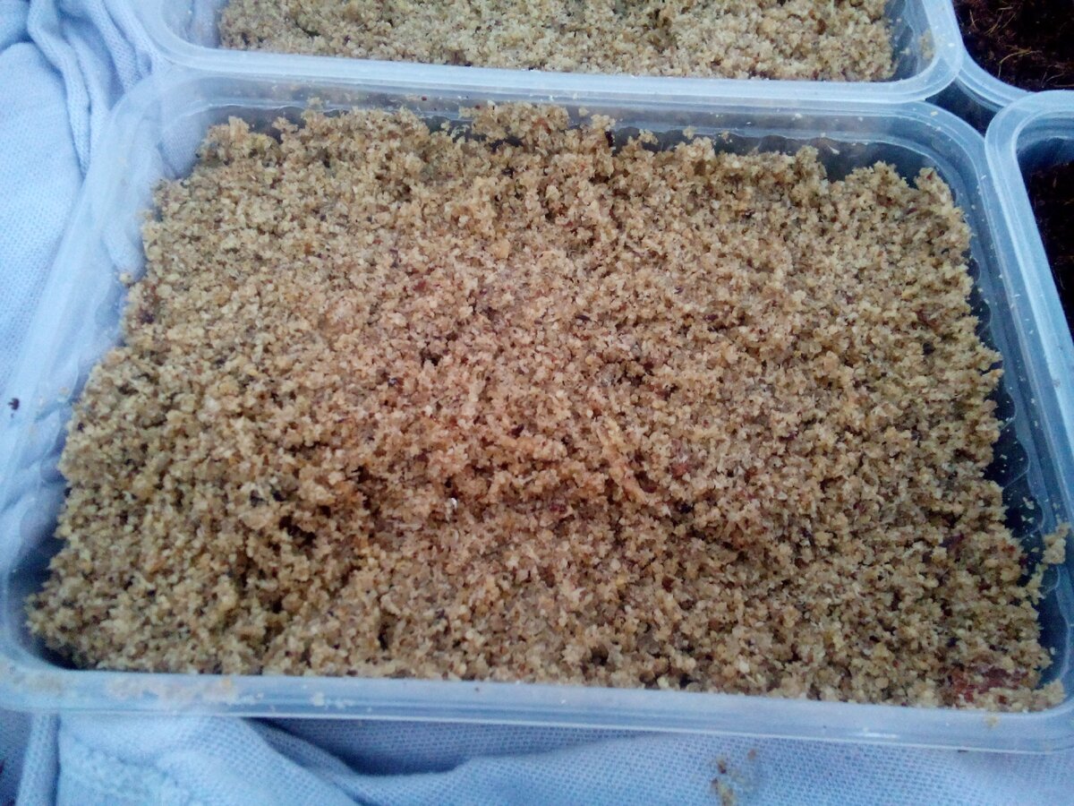 Влажные древесные опилки 