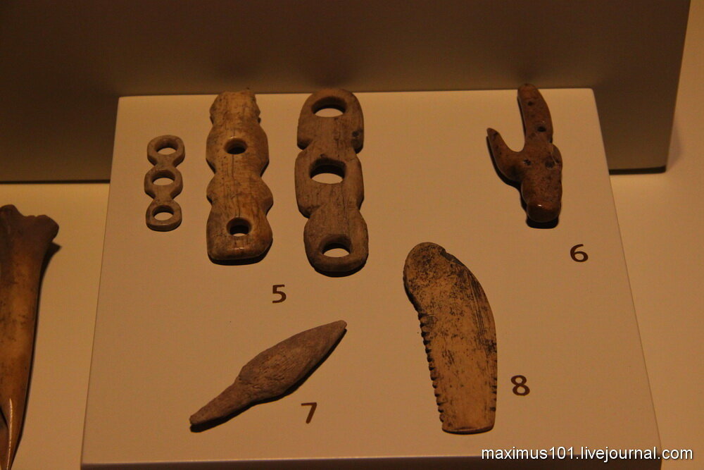 (Иллюстрация из открытых источников)