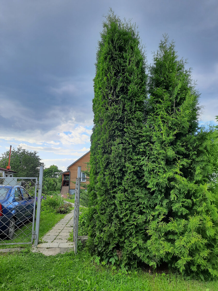 Наша дача. Фото автора