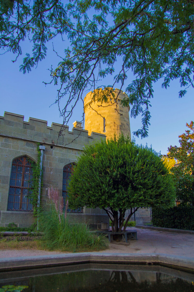 пруд со стороны парка