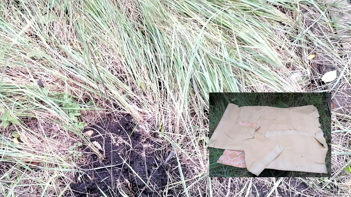 Заморачиваться не стала, а положила старые обои прямо на траву. Сверху потом набросала компост. Благо у меня его полно. Как-то всё это подозрительно просто и легко, но время покажет.