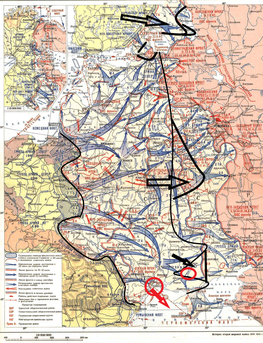 (Фото взято из открытых источников).