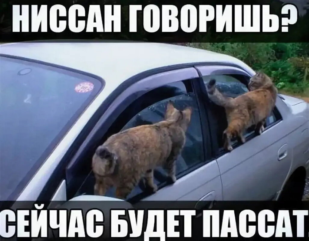 Приколы про Ниссан