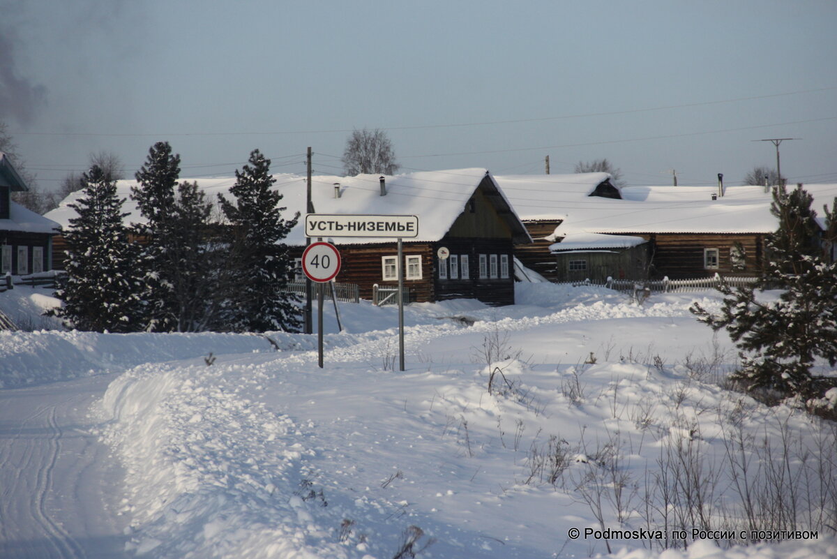 северный скромный