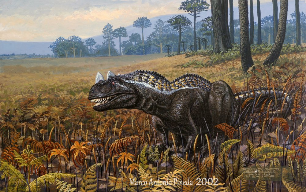 Цератозавр. Цератозавры Юрского периода. Ceratosaurus nasicornis. Цератозавр динозавр.