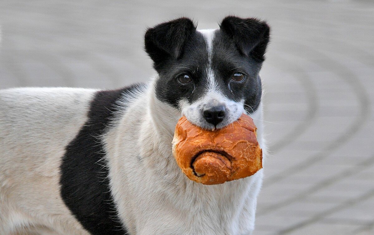 Фото: sputnik.by