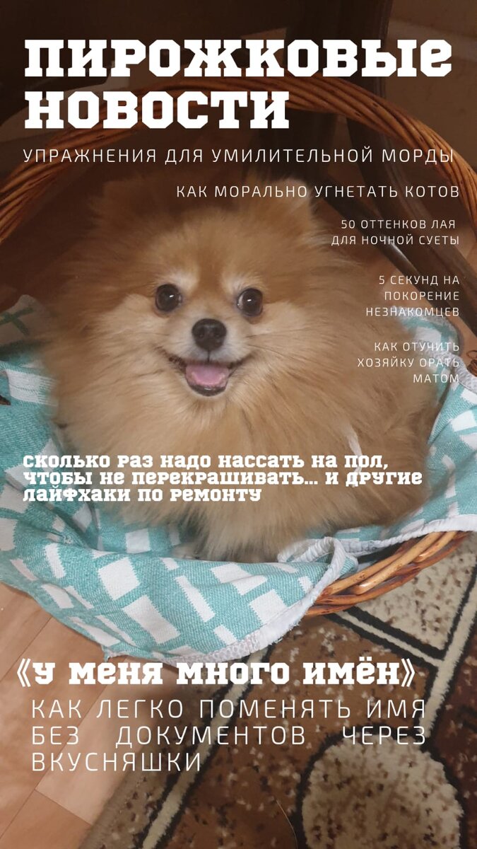 эту обложку сделала моя старшая дочка, а позирует наша новая красотка )))
