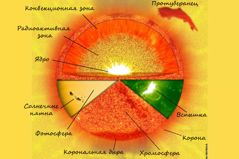 Физика. 10 класс