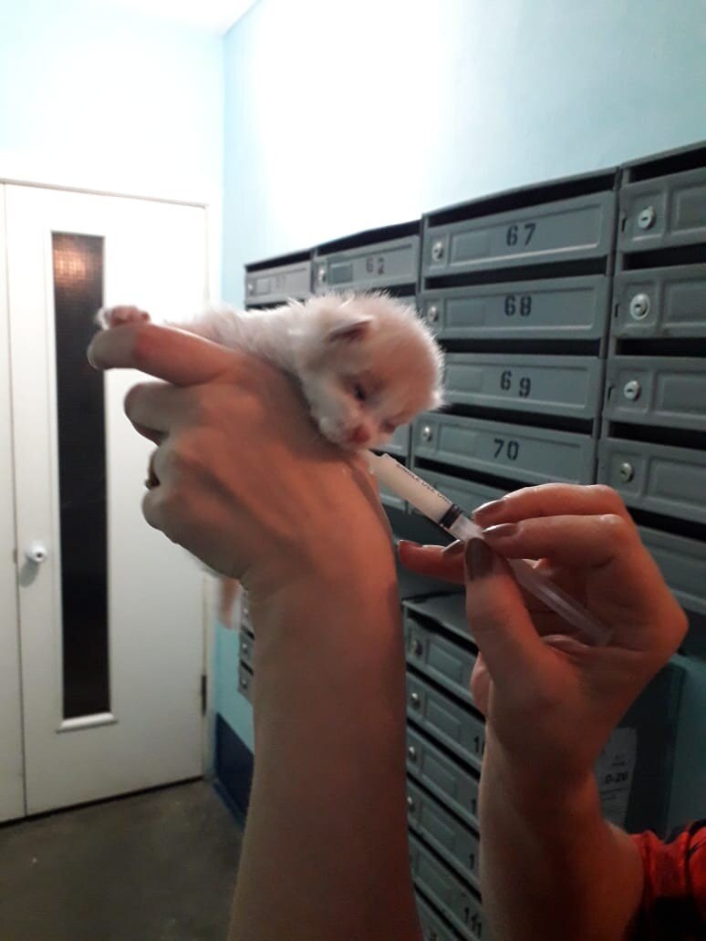 Тео 2 недели