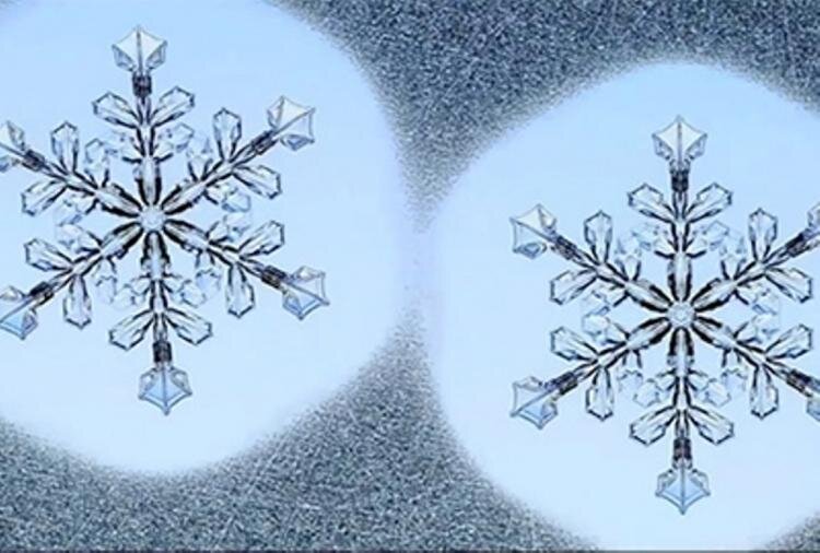 Во время протокола ЭКО женщинам в подавляющем большинстве случаев переносят лишь один эмбрион