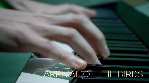 The Cinematic Orchestra - Arrival Of The Birds (Piano Cover by Lonely Key)