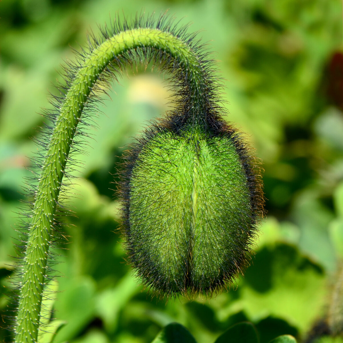 Здесь и далее в публикации фото из личного архива