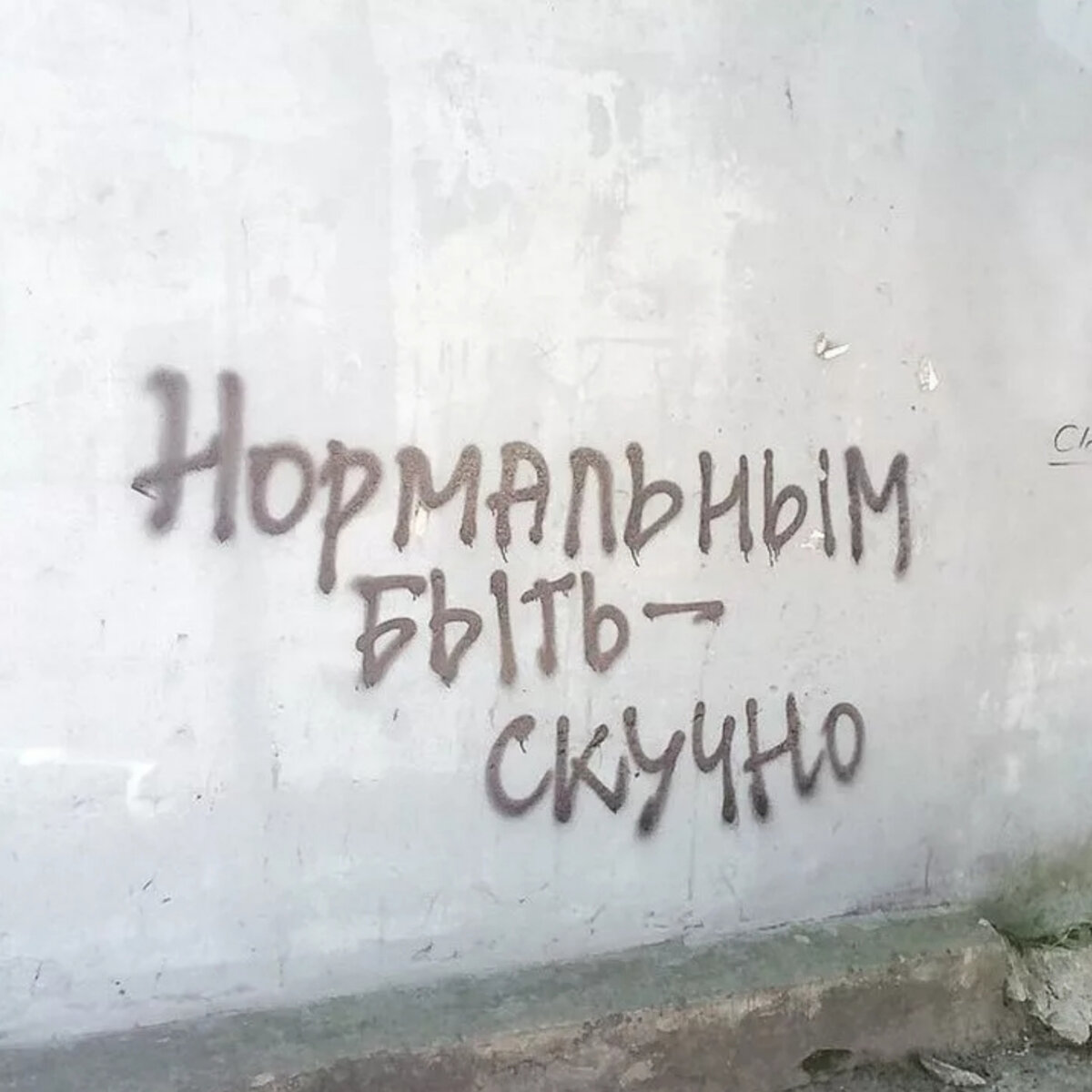 Стену дура