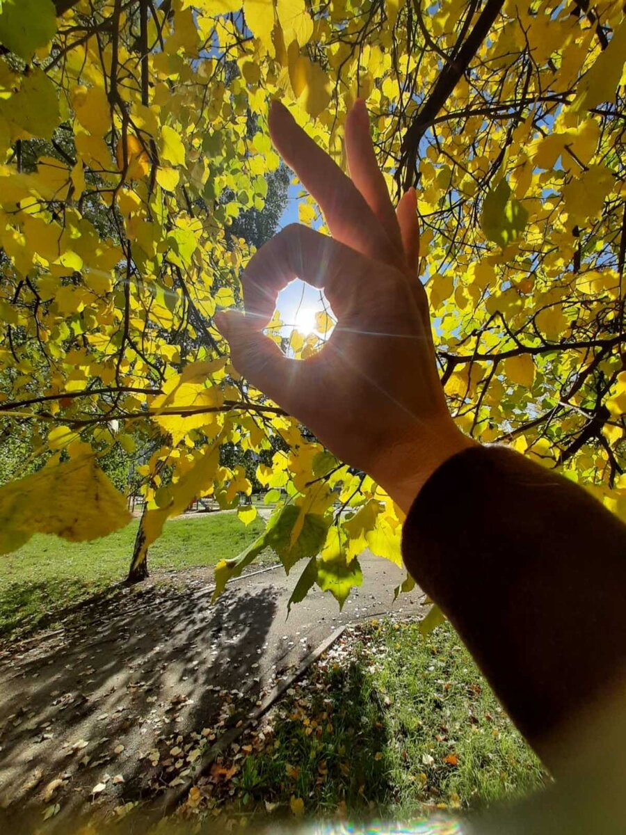 Вот такие фотки я получаю изо дня в день)