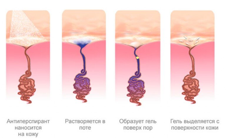 Фото: из интернета
