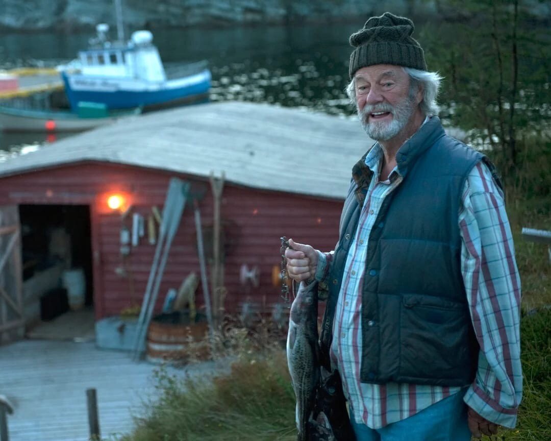 «Большая афера» («The Grand Seduction», 2013, 16+)