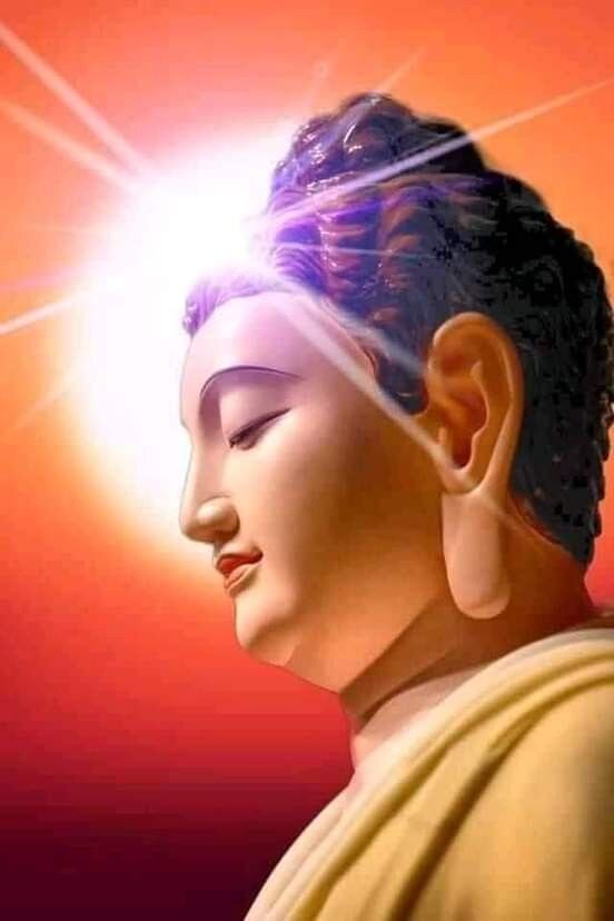 Изображение взято с сайта www.pinterest.ru. 