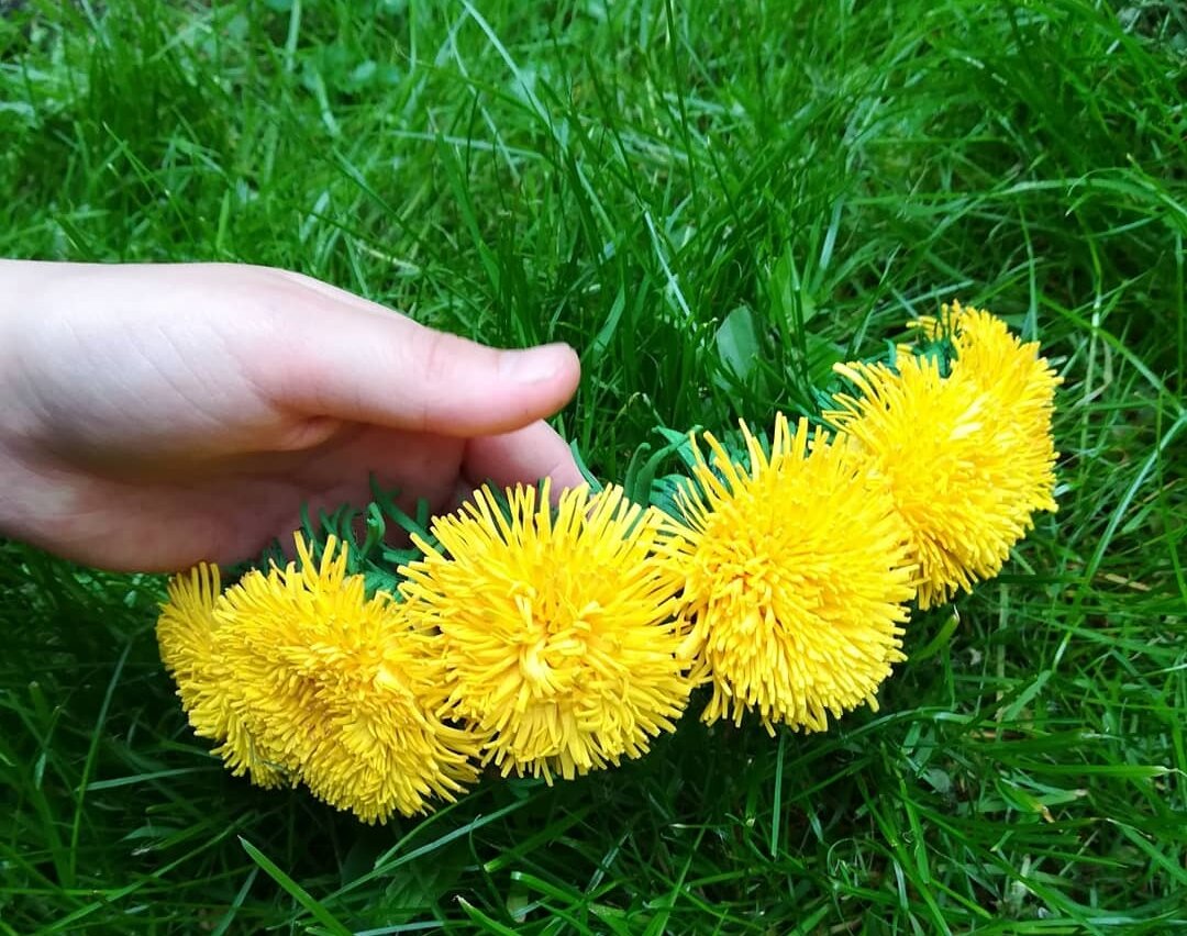 Foam flower dandelion tutorial. Цветы из фома. Одуванчик из фоамирана своими руками: видео урок