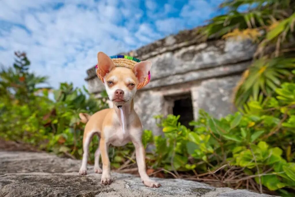    Фото: Craig Turner