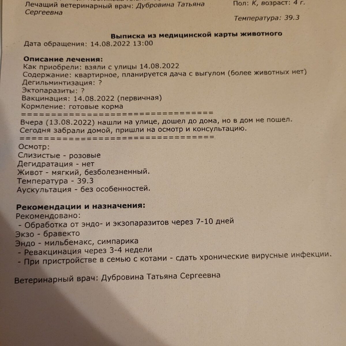Ветеринар не усыпил кота, похожего на шар, найдено альтернативное решение