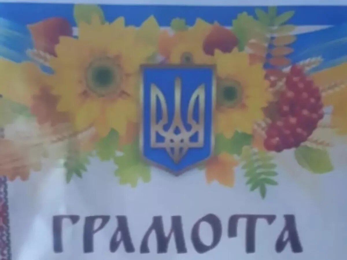 Фото той самой грамоты. Картинка из открытых источников.