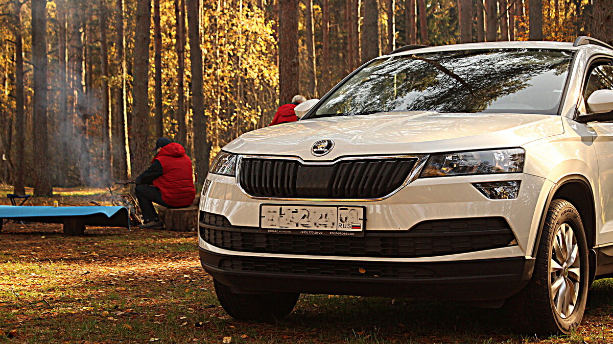 SKODA KAROQ. Опыт эксплуатации.Часть 1. | SVS action | Дзен