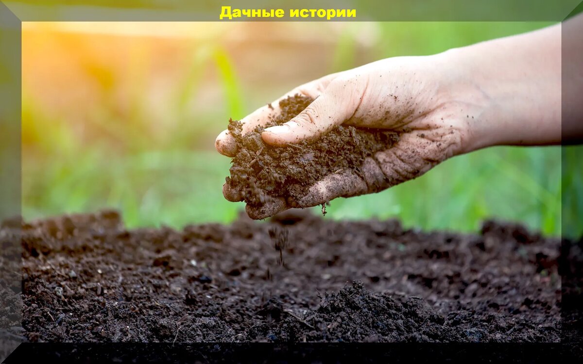 https://vk.com/photo-159774511_457256356