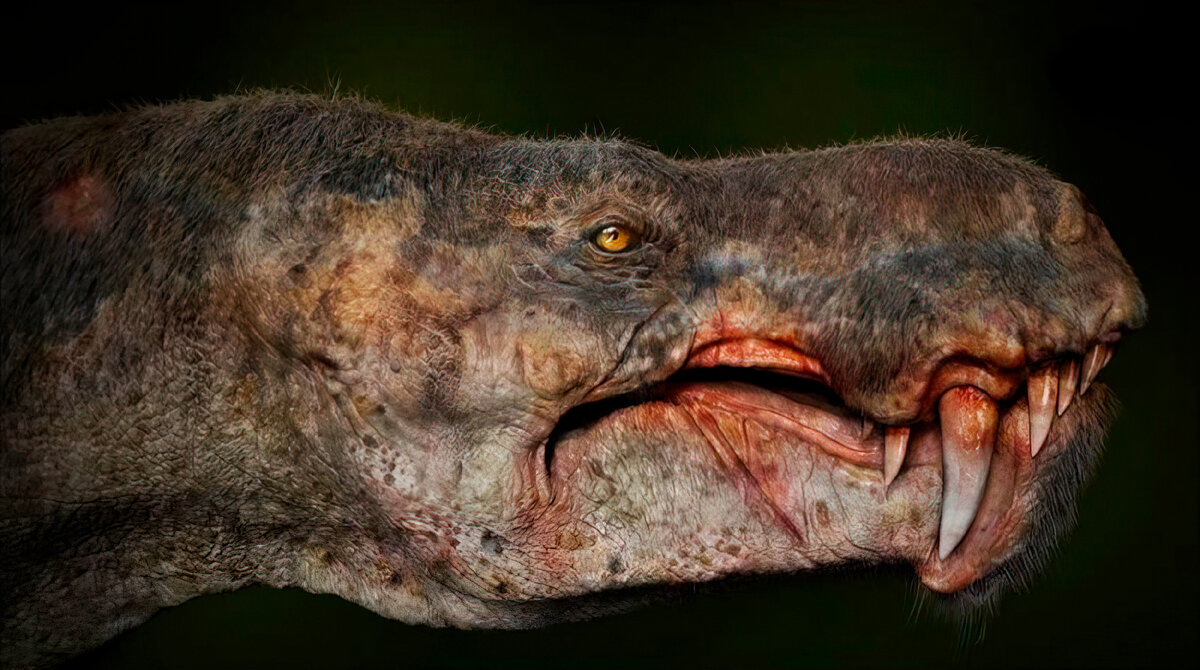 Горгонопс. Саблезубый звероящер. Вымершее животное. Факты о животных